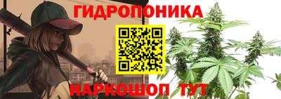 молекула духа Кимры